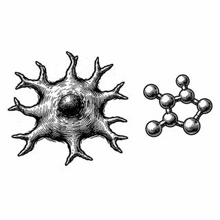 The Tiny Protein That Keeps Your Brain Angry Long After the Hit