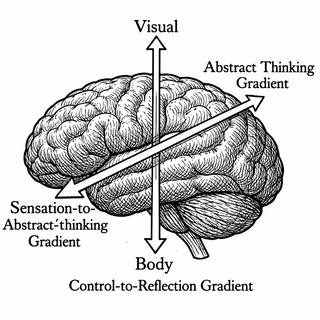Your Brain Has a Growth Chart Now, and It's Weirdly Relatable