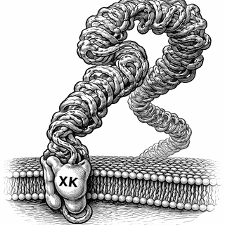 One Giant Protein, Four Ways to Ruin Everything