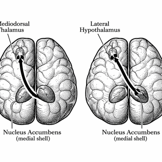 Ten years ago, we mostly talked about chronic pain like it was one busted alarm system that just would not shut up. Now the picture looks messier and much more interesting - more like a badly run restaurant where one cook burns the food while another