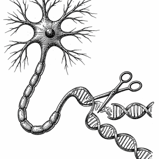 “If you ask enough single neurons what they’re up to,” the lead author might say, “some of them will confess to editing their RNA in surprisingly selective ways.”