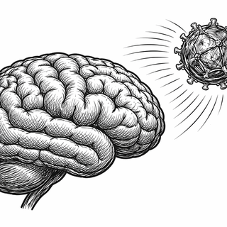 Neuroscience keeps relearning the same impolite lesson: the brain is not merely complicated, it is defended. Decades ago researchers were already warning us that the blood-brain barrier was less a wall than a customs agency with severe trust issues. 