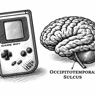 Your Childhood Pokémon Obsession Literally Rewired Your Brain (And Scientists Are Thrilled)