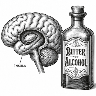 Alcohol research had a busy week. On June 24, 2026, Scripps Research reported that blocking an inflammatory molecule reduced excessive drinking in female mice. Two days later, a new Molecular Psychiatry paper pointed to another suspect: the insula, a