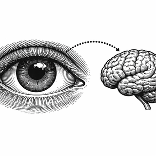 Long before brains were writing emails, losing keys, or pretending to understand Kullback-Leibler divergence at parties, they had one job: keep the organism alive long enough to learn what mattered. A rustle in the grass might be lunch, death, or jus