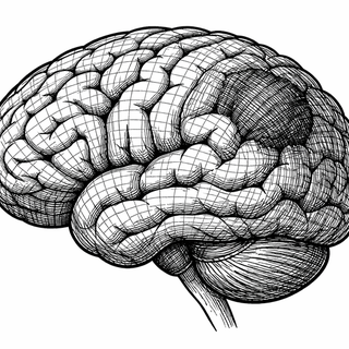 A mathematical technique called transport-based morphometry, or TBM, can read a standard head CT the way a recon analyst reads terrain: not as a flat picture, but as a map of where mass wants to move next. It treats every pixel of brightness as cargo