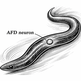 Good news - scientists keep finding elegant little rules for how nervous systems work. Bad news - every time they do, the nervous system immediately says, 